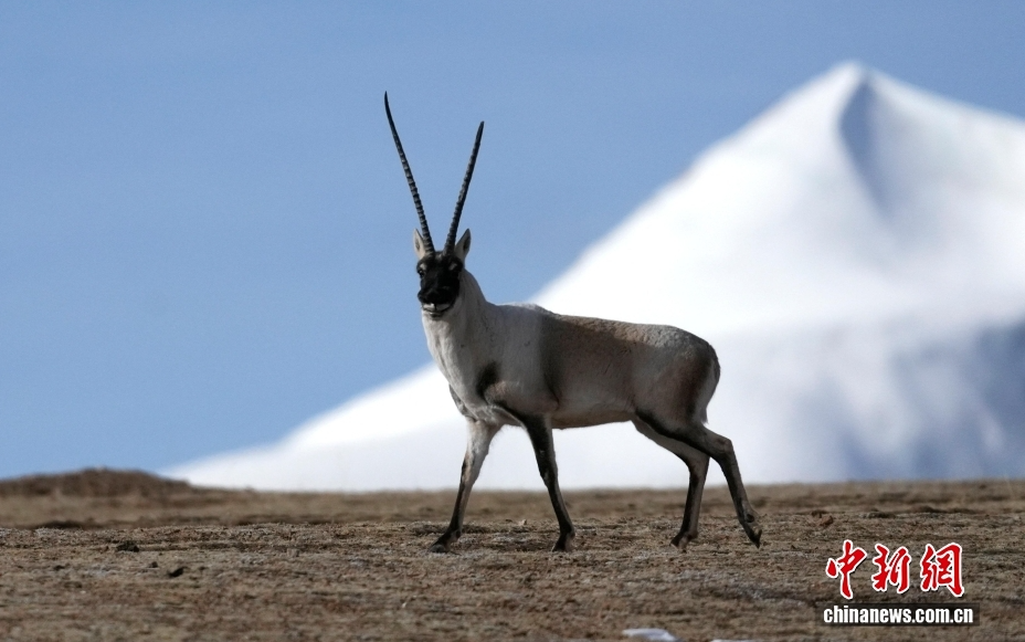 ScreenShot_2026-03-30_152257_020